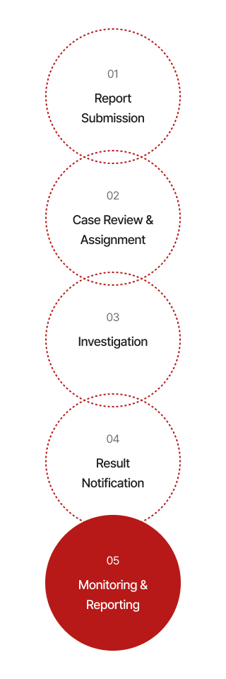 reporting_process_guide